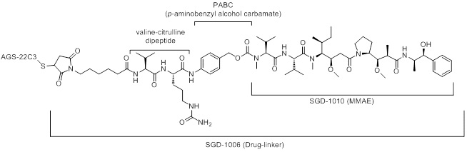 Enfortumab vedotin structural formula