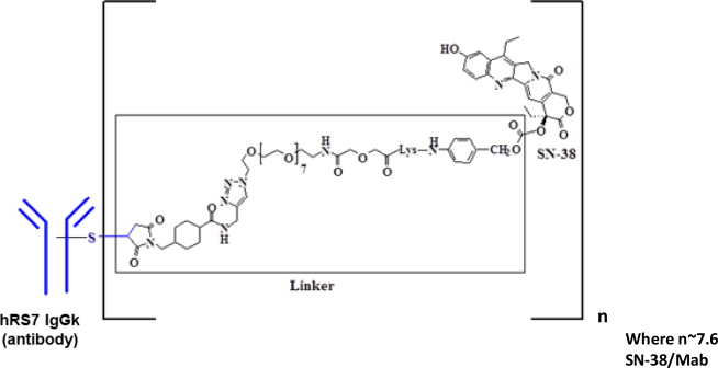 Sacituzumab Govitecan-hziy Chemical Structure
